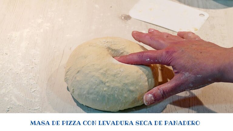 Masa de pizza italiana con levadura seca